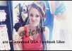 give 650+ Real Permanent USA Facebook High Quality Profiled Fan Likes/Fans in 15 minutes