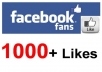 get +1,000 LIKEs to your facebook FAN PAGE [limited offer]