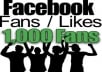 provide you +1,000 facebook LIKES [fan page/ photo] within 1 day