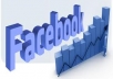 give You 1300+ Facebook Fans,Likes With Profile Pictures And Fully Profiled Accounts Which Look Like Real Accounts Only