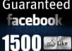 adding 1600+ Facebook Fans Likes to your fanpage within less than 48 hours