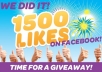 add 1000+ High Quality Facebook Likes, Fans to your Page,likes in less than 15 hrs 