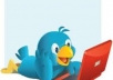 add more than 25,555+ Real TWITTER Followers to your Account