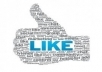 *Give you 1000 VERIFIED authentic facebook likes guaranteed safe to any domain website webpage blog in 24 hours 