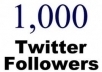 give you 1000 real twitter followers