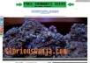 Promote/Review your 420 product/service/website/blog/etc