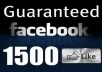 give you 1500 FACEBOOK like facebook likes fans to any page in less then 24 hours 
