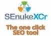 run Senuke XCr to create Google Friendly Backlinks for you★, plus I will use the ★Full Monty V4 the most requested template available