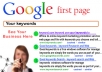 build a high quality link pyramid to beat Panda and get you to Page 1 on google only 