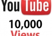 deliver 12,222+ Safe, Fast Youtube Views in Less than 48 hours