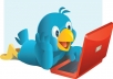get you 52500+ Twitter Followers in less than 12 hours