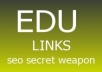 create 100 EDU backlinks through blog comments in max 12 hours