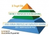build eminent backlink pyramid with 5500 profiles links from different domains