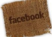 ** give you 1300+ facebook fans or facebook likes on your facebook fan page without your admin access and within 72 hours **