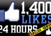 Give you 1500+ facebook page likes from european countries in 24hours, all real and active fb fans, pagelikes, fbfans, facebook pages