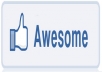give you 1000 REAL Facebook likes/fans to your fan page in 48 hours without Admin Acces