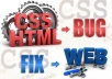 find and fix any Html and CSS bug on your any website just