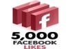 Give you High Qulity 5000+500 Bonus Facebook like within 24 hours