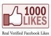 get 1,001 Real US and Uk based Verified facebook likes to any web link you provide me with in 24 hours