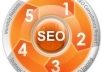  set up a complete link building campaign for your website thus getting faster rise in the search engines 