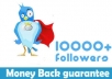 add More Than 15,000+ Followers on Your Twitter Account in 10 Hours Without Needing Yours Password