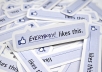 give you 30+ Facebook Page Likes within 24 hours or less