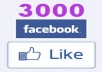 ADD 30OO Facebook likes to your fanpage