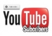 Give Guaranteed 1000 YouTube Channel Subscribe