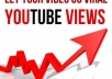 give you 1000 REAL youtube views and 25 likes with a natural pattern over a whole week 140+ views a day