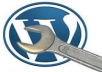 create a single page WordPress website for you