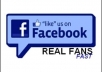 Give You 100+ REAL Facebook Page Likes/Photo Likes/Post Likes/Profile Followers/Web Likes Only