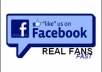 provide you Real looking Facebook Likes about 50++ in 48 hours
