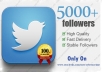 provide you 10000+ real looking twitter followers to any twitter account