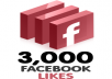 3000+ facebook page likes from european countries in 20minutes, all real and active fb fans, pagelikes, fbfans, facebook pages, fanpages