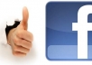 provide you REAL 800+ High Quality USA Facebook Page Likes