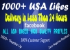 send you 1000+ Real Looking USA Facebook Page Likes with Profile Avatar's