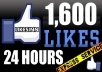  give You 1600+ Facebook Fans USA Likes With Profile Pictures And Fully Profiled Accounts Which Look Like Real Accounts Only 