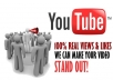give  you not less than 250 youtube views and with 15 youtube video likes within 24 hours.