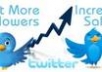 provide You Link And a Password To Get Twitter TORNADO Targeted, Real And Unlimited Twitter Followers 