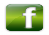 give you 100 facebook like or FB fan 