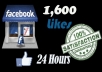 give You 1600+ Facebook Fans USA Likes With Profile Pictures And Fully Profiled Accounts Which Look Like Real Accounts Only