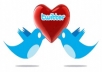 help You To Increase 6000 Followers In Your Twitter Account Within Few Hours
