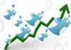 give more than 500 twitter followers to any twitter account ,