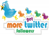 add more than 500 twitter followers to any twitter account 