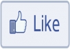 give You 1100+ Facebook Fans USA Likes With Profile Pictures And Fully Profiled Accounts Which Look Like Real Accounts only