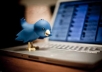 Get You 8000+ High Quality Twitter Followers