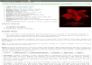 post 500 movies info based from IMDb
