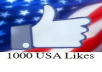 give 1000+ Real likes from USA Users to your Facebook Page without admin access