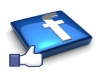 give you 200+ REAL facebook likes to your fanpage within 2 days