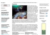 send your articles to MY 800 Blogs
